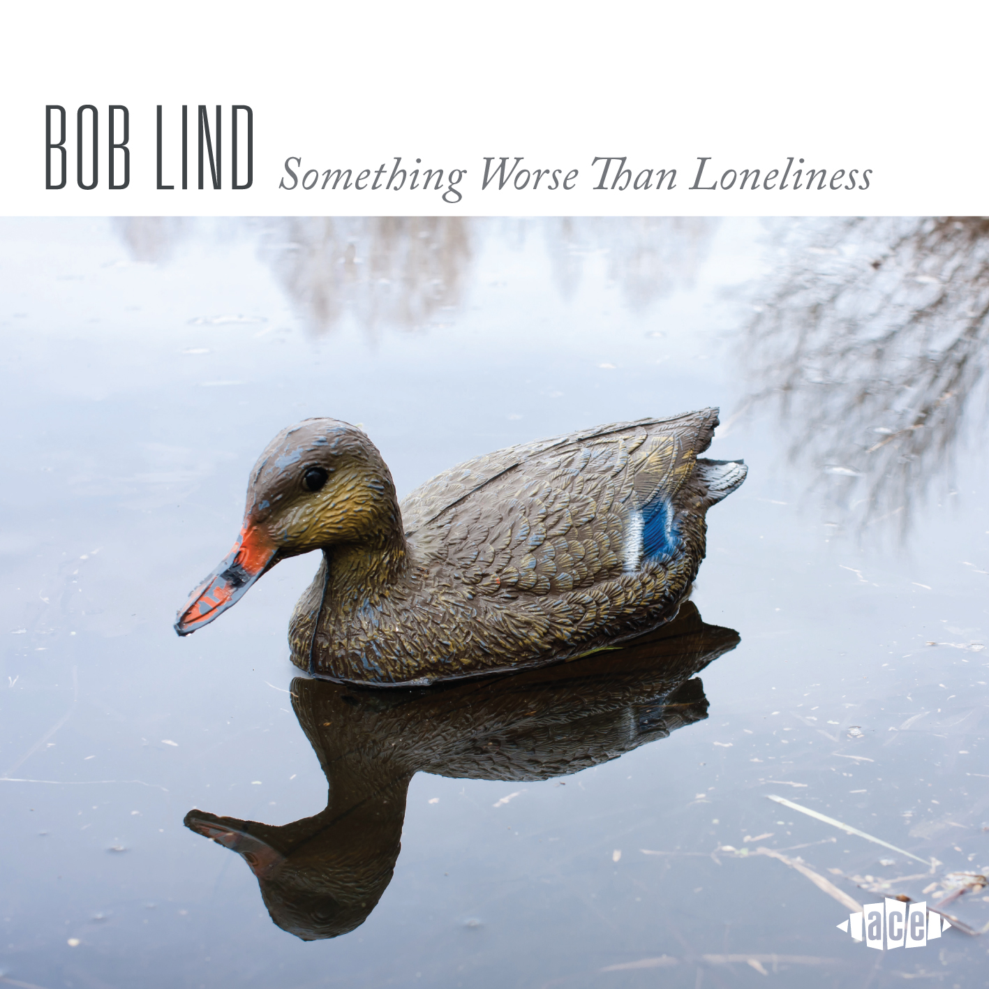 Album cover showing a duck floating peacefully on a pond. Peaceful, until you realize it's a hunter's decoy.